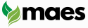 MAESBUY